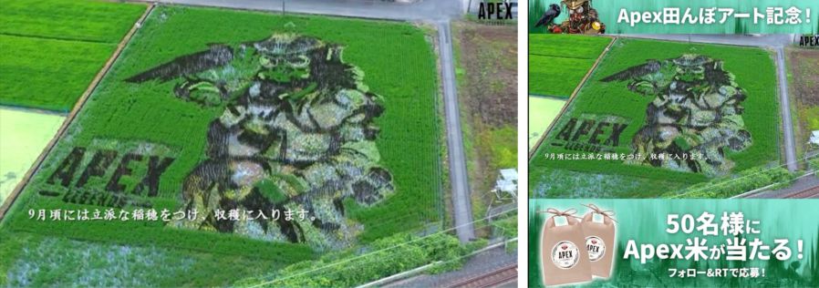 Quảng bá game trên cánh đồng lúa.