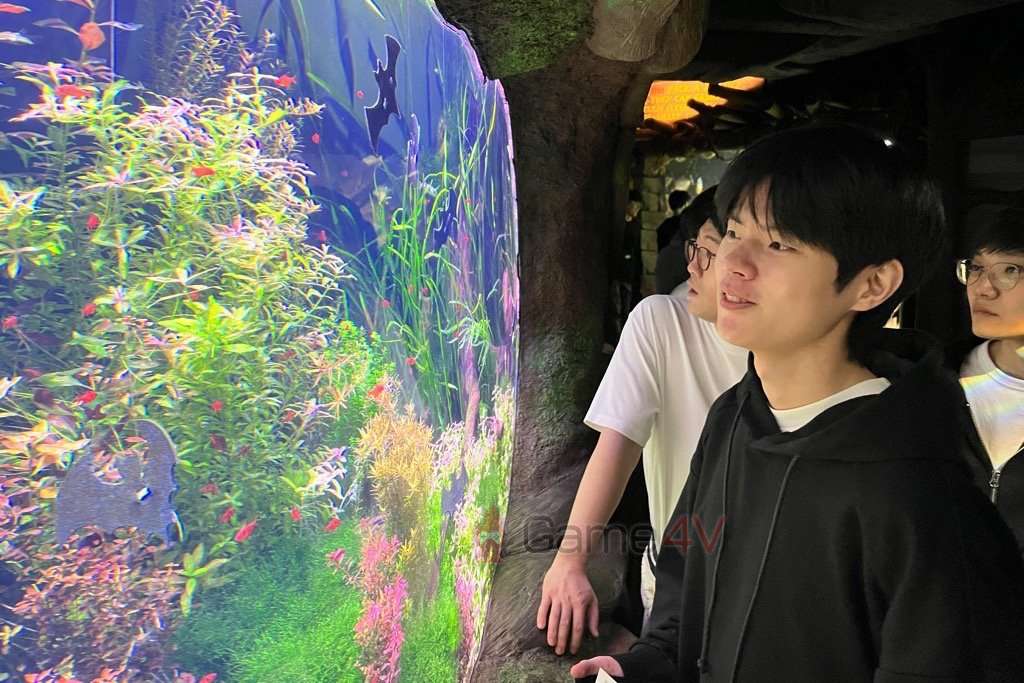 Ngoại trừ BeryL, toàn bộ thành viên DRX đều đi thư giãn đầu óc tại thủy cung.