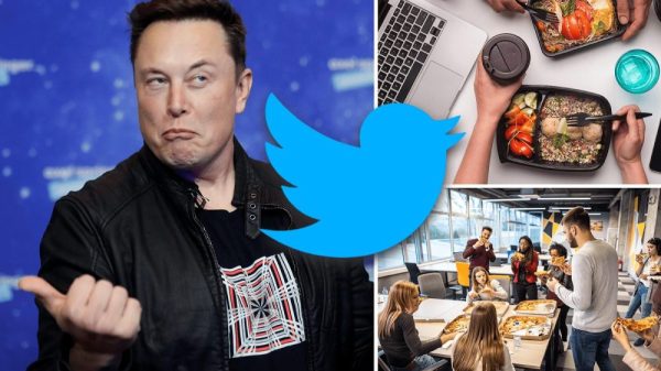 Sau khi sa thải hàng loạt nhân viên, Elon Musk tiếp tục cắt bữa trưa của nhân viên Twitter elon musk 2 1668583321 15