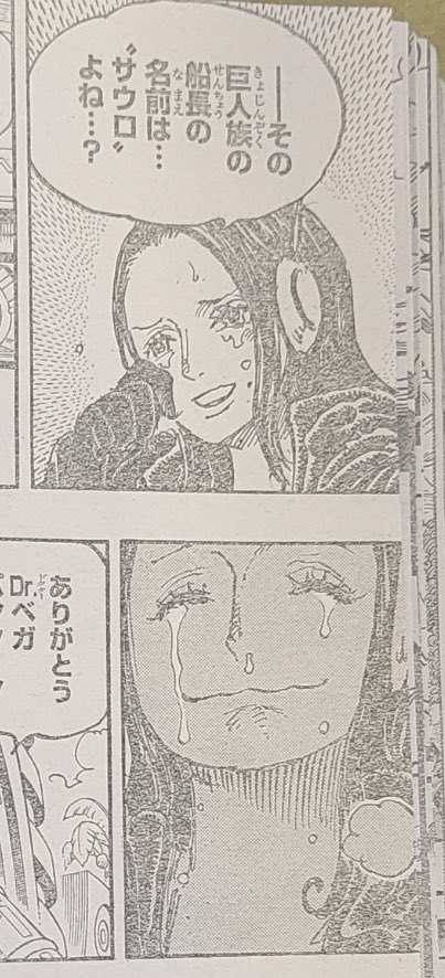 Diễn biến chi tiết của manga One Piece chap 1066