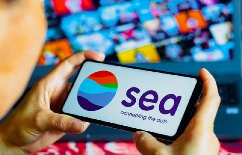 Sea có doanh thu mảng game chưa được tốt trong nửa đầu năm.