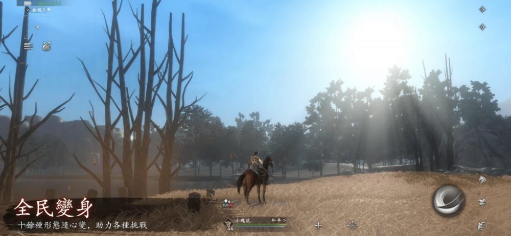 Soul được phát triển với ý tưởng tạo nên một trò chơi MMORPG với lối chơi phá cách, bỏ đi các tiêu chuẩn thông thường của thể loại.