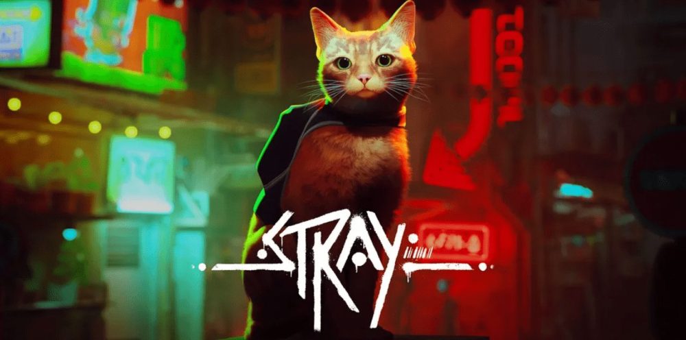 Stray