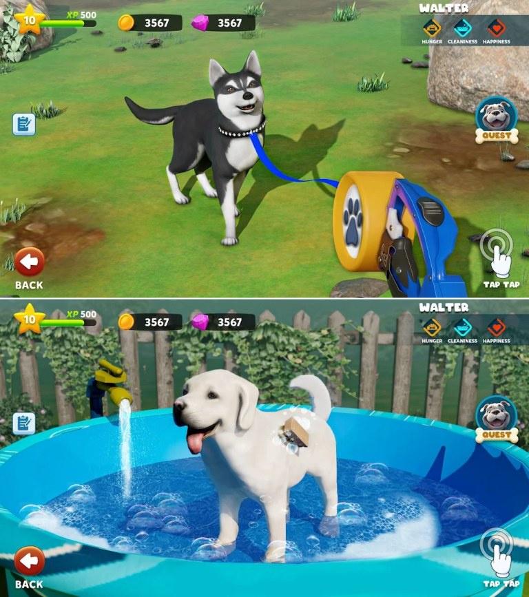 Puppy Island - Hòn đảo cún con đáng yêu đang chờ bạn khám phá! 4su75dy