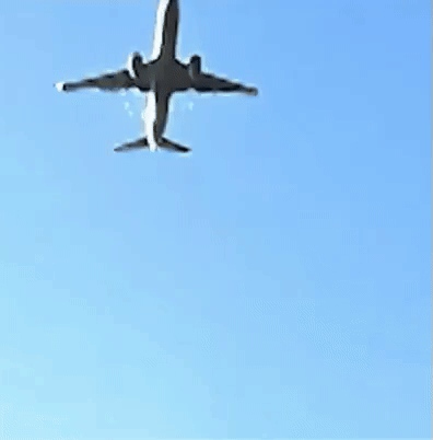 Thảm kịch hàng không tại Hàn Quốc: Nhân chứng hé lộ chi tiết đáng kinh ngạc trước khi máy bay nổ tung- Ảnh 2. Thảm kịch hàng không tại Hàn Quốc: Nhân chứng hé lộ chi tiết đáng kinh ngạc trước khi máy bay nổ tung- Ảnh 2.