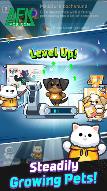 Vào Pome Survival M dẫn đường chỉ lối cho bầy chó kute thoát khỏi nguy hiểm 3