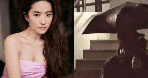 Hot nhất Weibo: Lưu Diệc Phi lộ ảnh hẹn hò với nam thần hạng A kém tuổi vào đêm Giáng sinh avatar1735097209577 1735097211356515619420 28 0 447 800 crop 17350972792342056844030gifpng