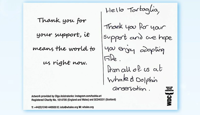 photo-1721534102236 photo-1721534102236