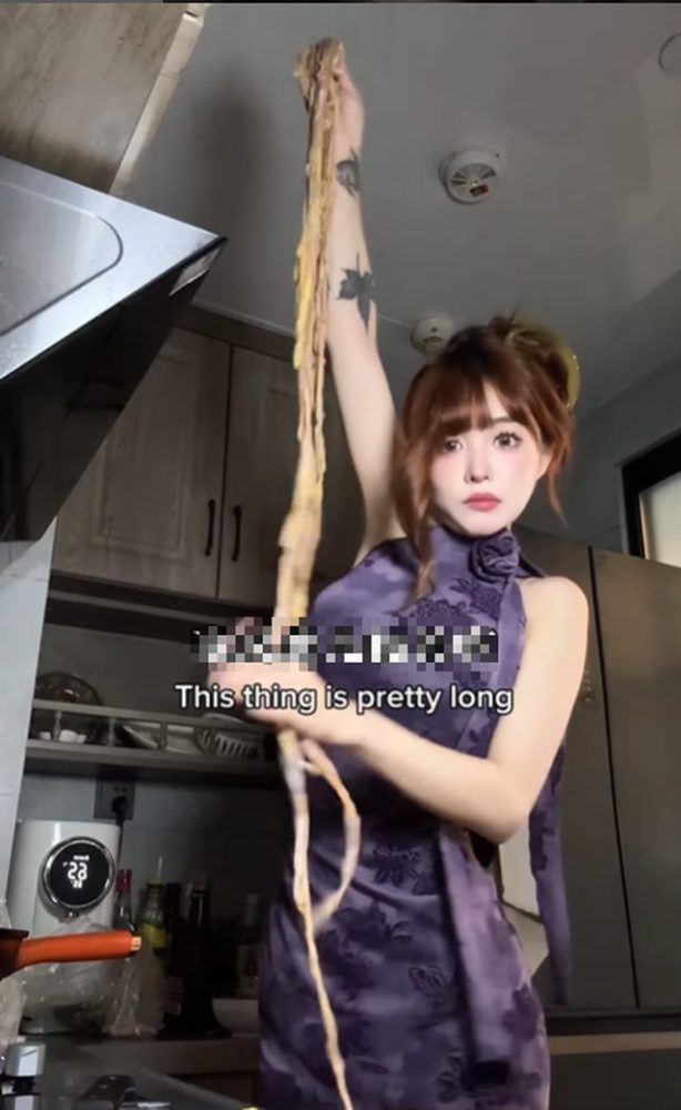 photo-1729309114961 photo-1729309114961