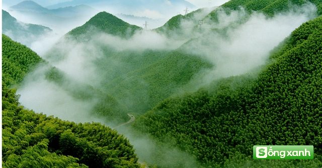 Nhận 1,2 tỷ dù không cần thế chấp nhà, xe: Cách đầu tư mới khiến nhiều người bất ngờ- Ảnh 4. Nhận 1,2 tỷ dù không cần thế chấp nhà, xe: Cách đầu tư mới khiến nhiều người bất ngờ- Ảnh 4.