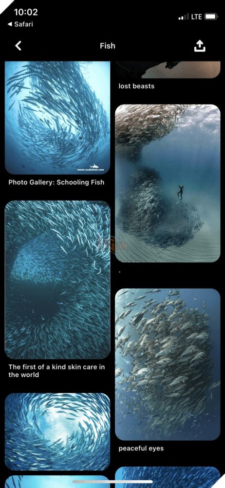 Mot Nha Phat Trien Tai Bethesda Vo Tinh Dua Ra Goi Y Ve Boi Canh The Elder Scrolls VI 5 Một Nhà Phát Triển Tại Bethesda Vô Tình Đưa Ra Gợi Ý Về Bối Cảnh The Elder Scrolls VI 5