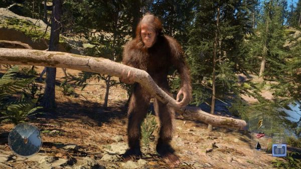 Dự Án Game Sinh Tồn Mới Cho Phép Người Chơi Nhập Vai Sinh Vật Thần Thoại Bigfoot bigfoot life 02 dgmijpg