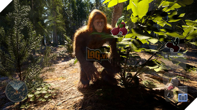 Du An Game Sinh Ton Moi Cho Phep Nguoi Choi Nhap Vai Sinh Vat Than Thoai Bigfoot 3 Dự Án Game Sinh Tồn Mới Cho Phép Người Chơi Nhập Vai Sinh Vật Thần Thoại Bigfoot 3
