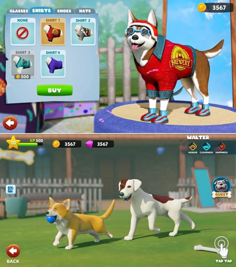 Puppy Island - Hòn đảo cún con đáng yêu đang chờ bạn khám phá! c5zpgeu