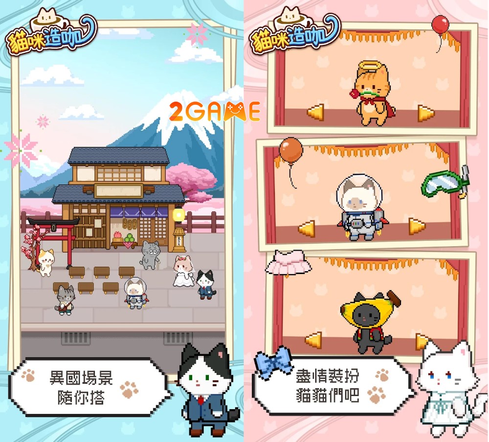 CAT CAFE – Cùng xây dựng quán cafe mèo của riêng bạn cat cafe 4