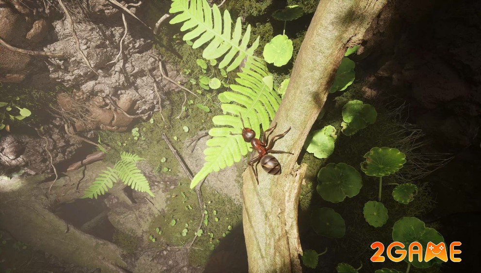 empire-of-the-ants-4 Đồ họa đỉnh cao của tựa game Empire of the Ants khiến các game thủ say mê