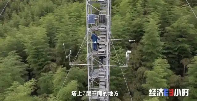 Nhận 1,2 tỷ dù không cần thế chấp nhà, xe: Cách đầu tư mới khiến nhiều người bất ngờ- Ảnh 7. Nhận 1,2 tỷ dù không cần thế chấp nhà, xe: Cách đầu tư mới khiến nhiều người bất ngờ- Ảnh 7.