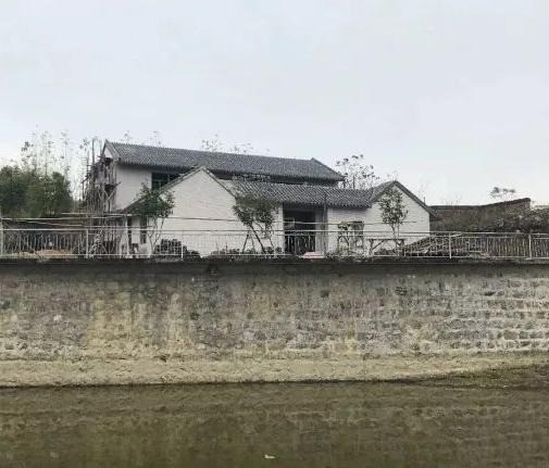 Gia đình chồng cũ bất mãn vì Triệu Vy- Ảnh 2. Gia đình chồng cũ bất mãn vì Triệu Vy- Ảnh 2.