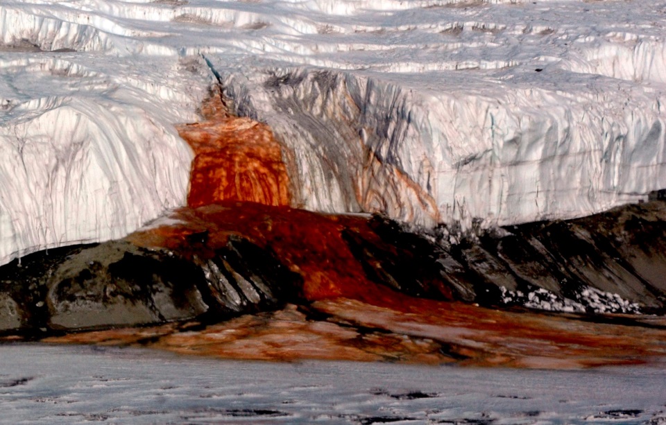 Trong nhiều năm, màu sắc của “thác máu” được cho là do tảo đỏ. (Ảnh: Peter Rejcek/National Science Foundation)