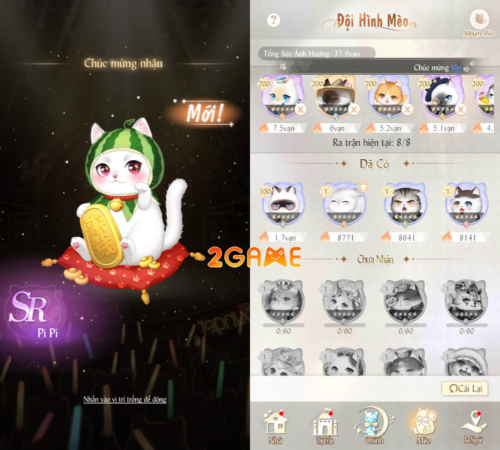 Khám phá những chú mèo siêu đáng yêu Me and Meo: Bé Mèo Của Tôi