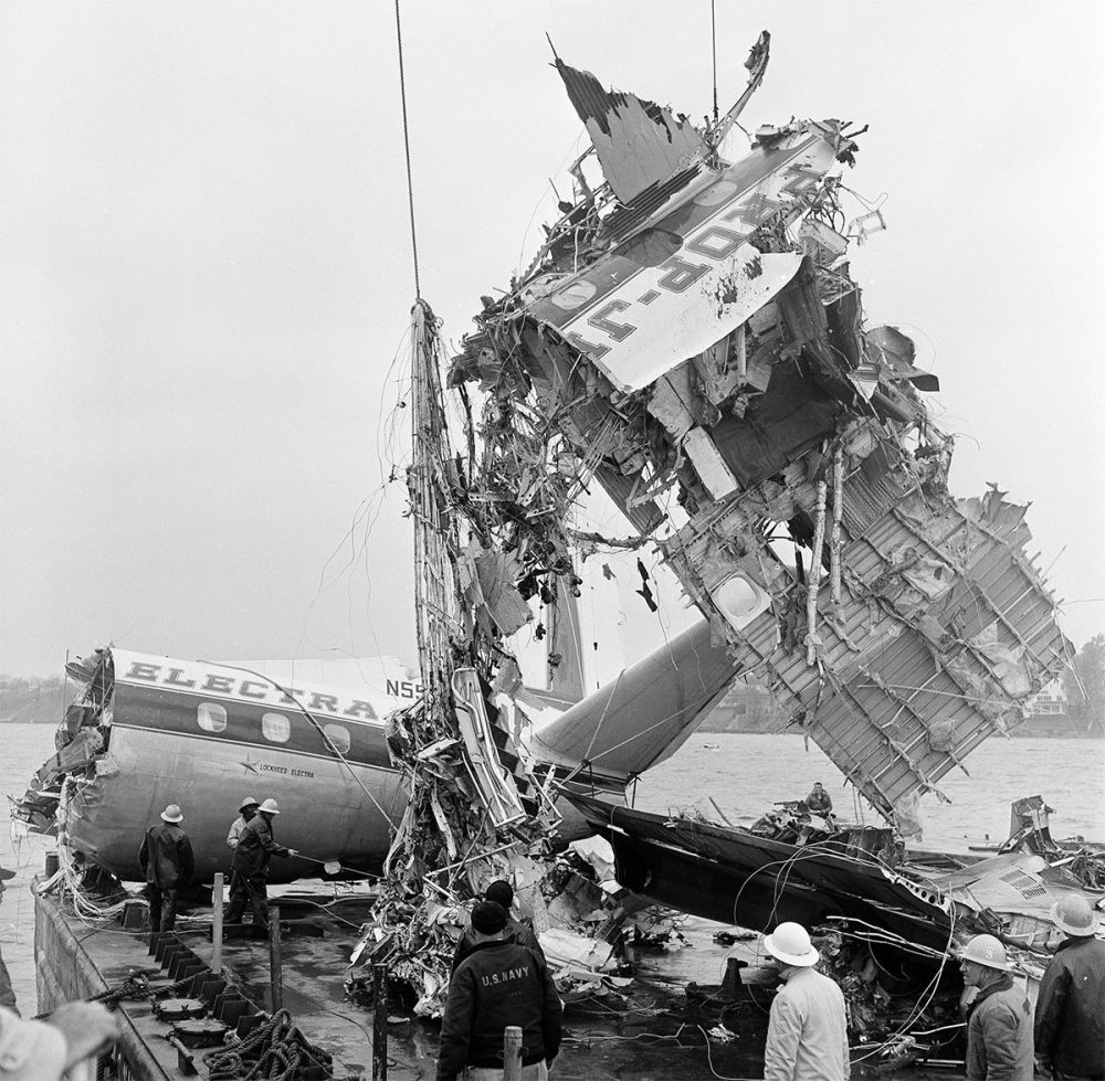 Thảm kịch máy bay kinh hoàng tại Hàn Quốc: Vì sao va chạm với chim lại nguy hiểm đến thế?- Ảnh 3. Thảm kịch máy bay kinh hoàng tại Hàn Quốc: Vì sao va chạm với chim lại nguy hiểm đến thế?- Ảnh 3.