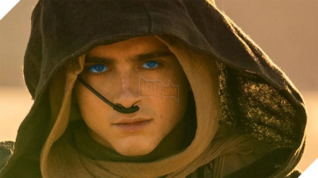 Dune: Awakening Co The Khai Thac Cuoc Chien Huong Duoc Tren Hanh Tinh Arrakis 2 Dune: Awakening Có Thể Khai Thác Cuộc Chiến Hương Dược Trên Hành Tinh Arrakis 2