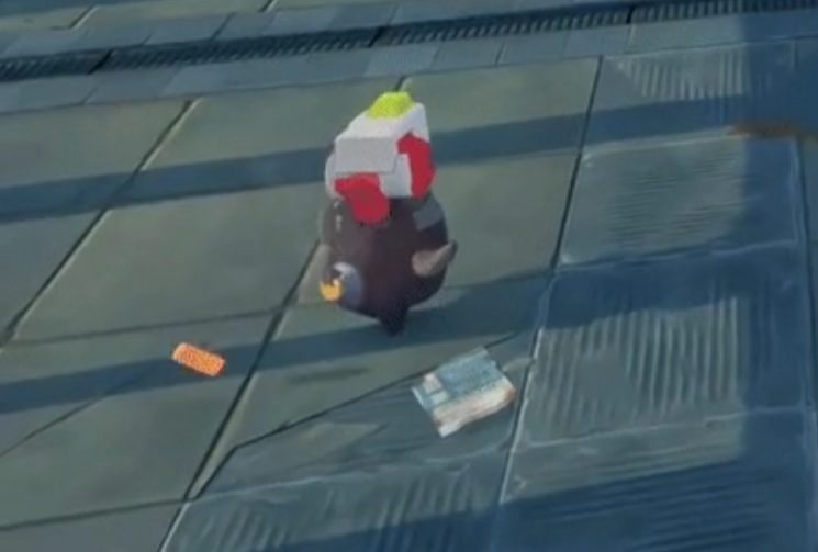 photo-1721287696551 photo-1721287696551