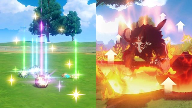 photo-1725595956154 photo-1725595956154