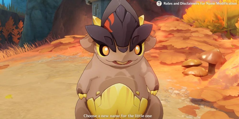 photo-1725730102462 photo-1725730102462