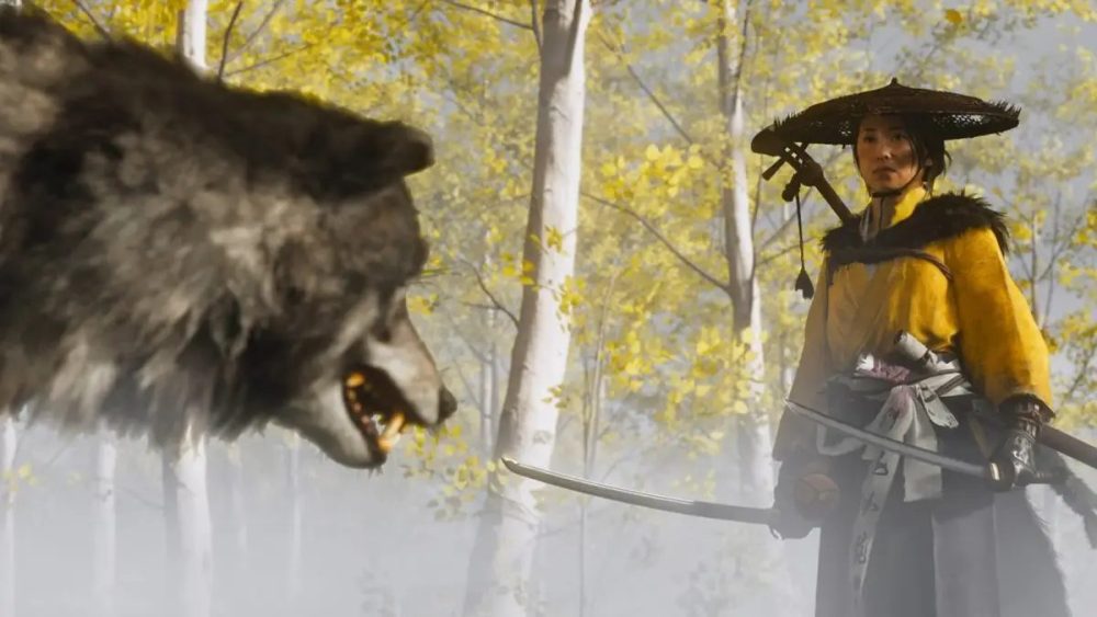 photo-1727230234317 photo-1727230234317