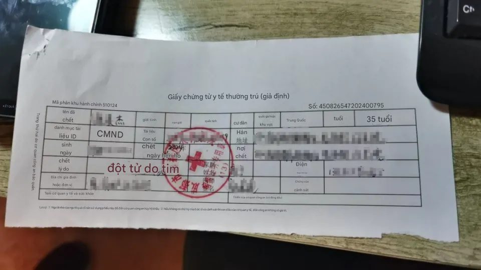 photo-1731732688230 photo-1731732688230