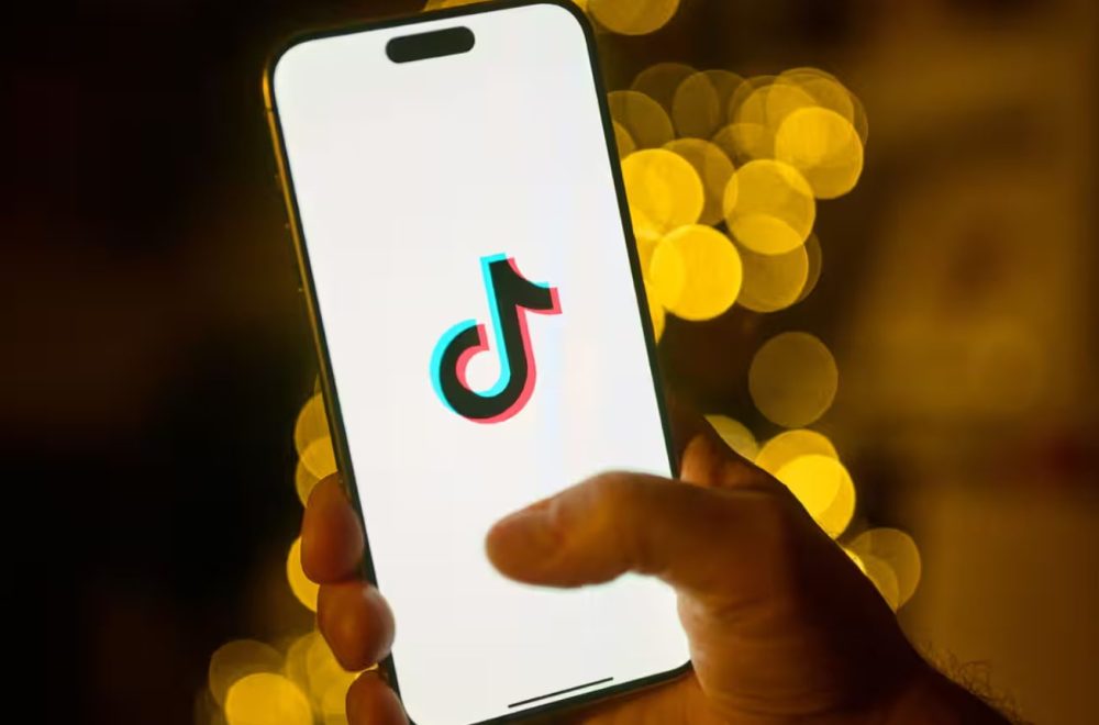 photo-1734236527583 photo-1734236527583