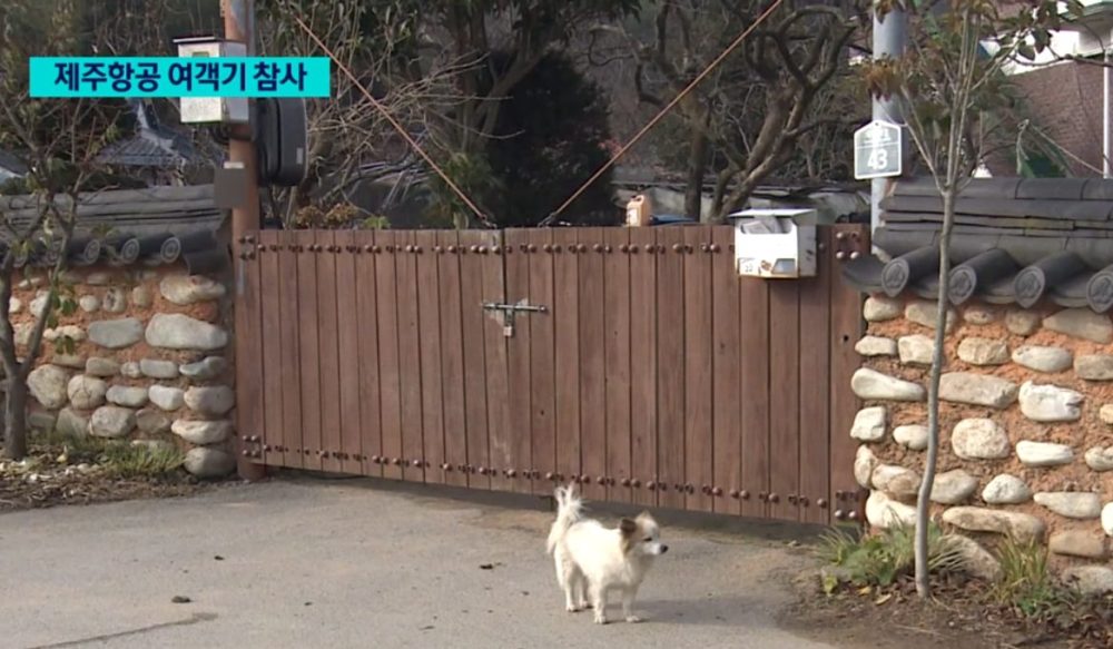 Gia đình 9 người thiệt mạng trong vụ nổ máy bay tại Hàn Quốc: Căn nhà trống trải, chú chó nhỏ vẫn ngóng chờ chủ quay về- Ảnh 2.