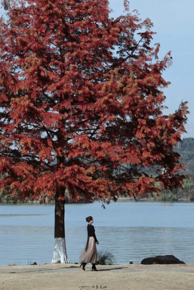 Một bức ảnh Triệu Lộ Tư thành nơi check in hot nhất Trung Quốc hiện tại- Ảnh 10. Một bức ảnh Triệu Lộ Tư thành nơi check in hot nhất Trung Quốc hiện tại- Ảnh 10.