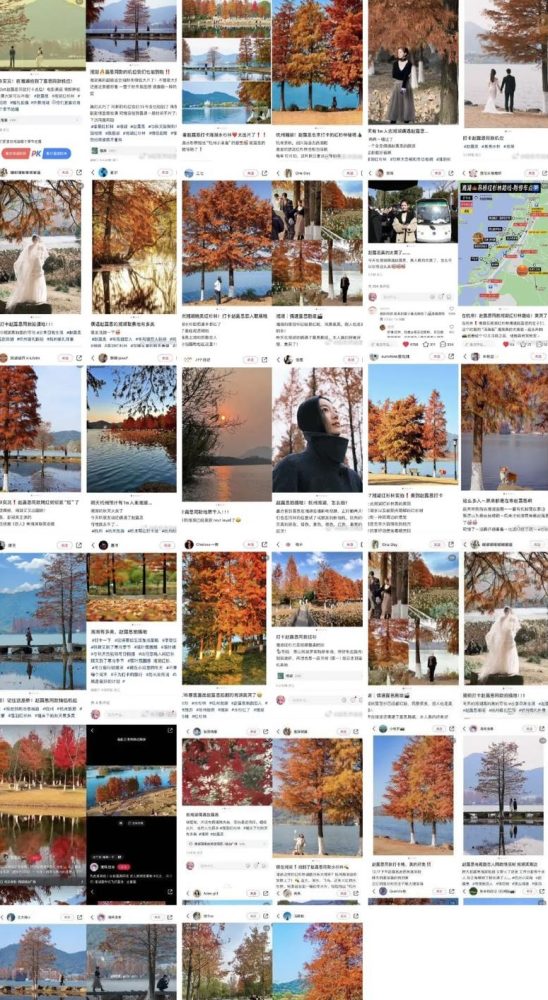 Một bức ảnh Triệu Lộ Tư thành nơi check in hot nhất Trung Quốc hiện tại- Ảnh 4. Một bức ảnh Triệu Lộ Tư thành nơi check in hot nhất Trung Quốc hiện tại- Ảnh 4.