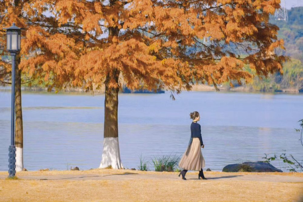 Một bức ảnh Triệu Lộ Tư thành nơi check in hot nhất Trung Quốc hiện tại- Ảnh 1. Một bức ảnh Triệu Lộ Tư thành nơi check in hot nhất Trung Quốc hiện tại- Ảnh 1.