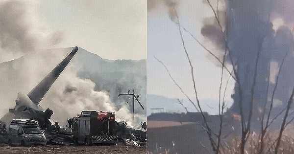 Hiện trường kinh hoàng vụ máy bay Hàn Quốc chở 181 người nổ tan khiến ít nhất 47 người thiệt mạng 27 Hiện trường kinh hoàng vụ máy bay Hàn Quốc chở 181 người nổ tan khiến ít nhất 47 người thiệt mạng work 5 17354399934892146034498 13 0 516 960 crop 1735440005129427800011gifpng