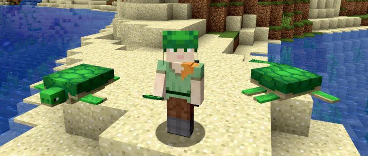 Hướng dẫn cách sử dụng và nhân giống rùa trong Minecraft 2023 127 1
