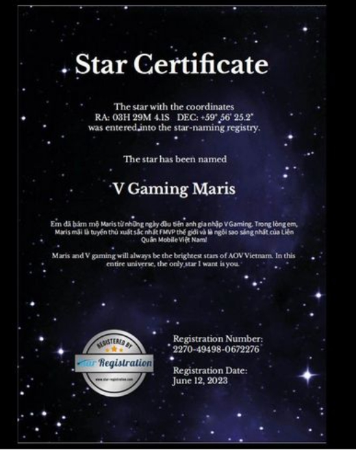 Văn hóa thần tượng của fan game: Khiến tuyển thủ "mát mặt" cũng có thể là áp lực vô hình! - Ảnh 1.