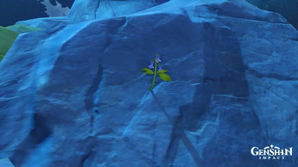 5 địa điểm có nhiều cây Violetgrass nhất trong Genshin Impact 1805 where find violetgrass genshin impact top 5 locations 3jpg