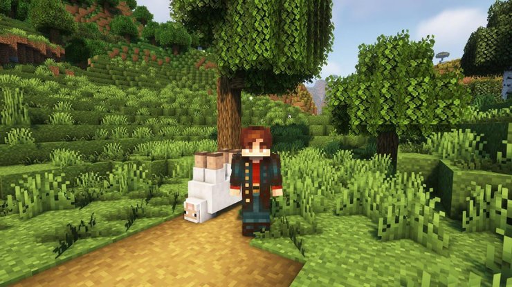 21 Tổng hợp tất cả các thủ thuật gắn thẻ tên trong Minecraft 2023 21