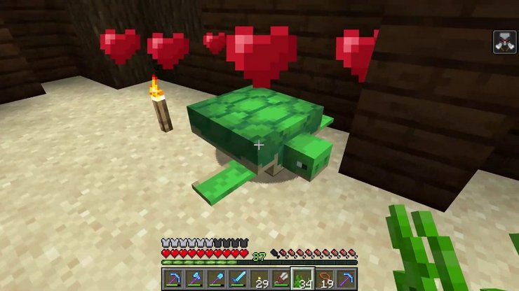 Hướng dẫn cách sử dụng và nhân giống rùa trong Minecraft 2023 227