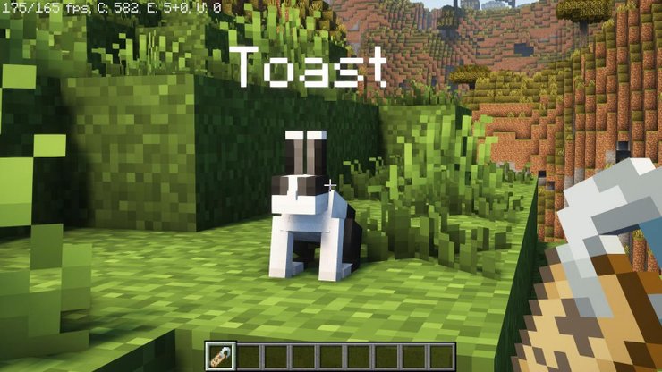 23 Tổng hợp tất cả các thủ thuật gắn thẻ tên trong Minecraft 2023 23