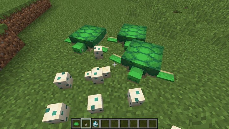 Hướng dẫn cách sử dụng và nhân giống rùa trong Minecraft 2023 319 1