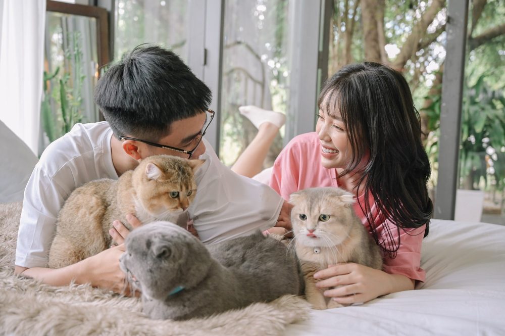 Linh Ngọc Đàm tuyên bố chưa muốn kết hôn, hé lộ thời gian 'lý tưởng' để lên xe hoa - Ảnh 1. Linh Ngọc Đàm tuyên bố chưa muốn kết hôn, hé lộ thời gian 'lý tưởng' để lên xe hoa - Ảnh 1.