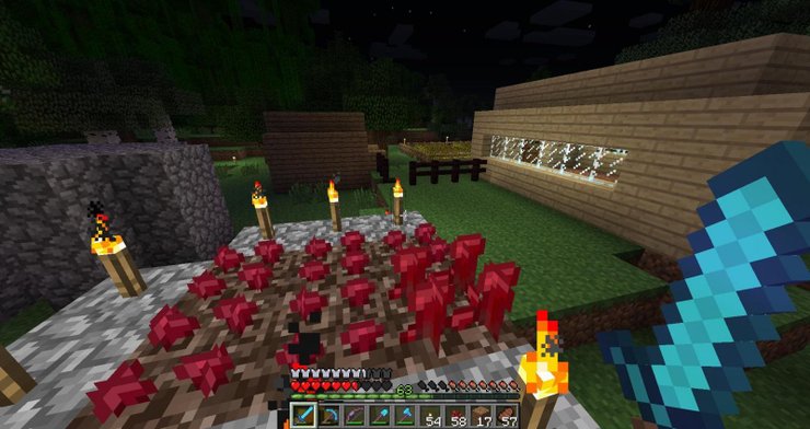 Hướng dẫn cách sử dụng và nhân giống rùa trong Minecraft 2023 81