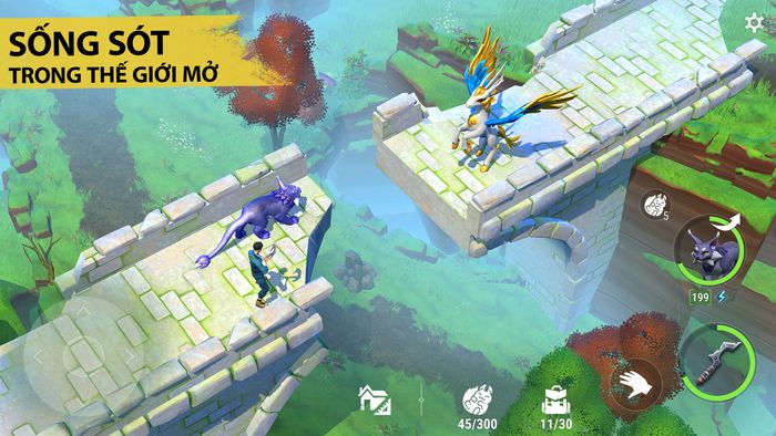 amikin-survival-1 Amikin Survival