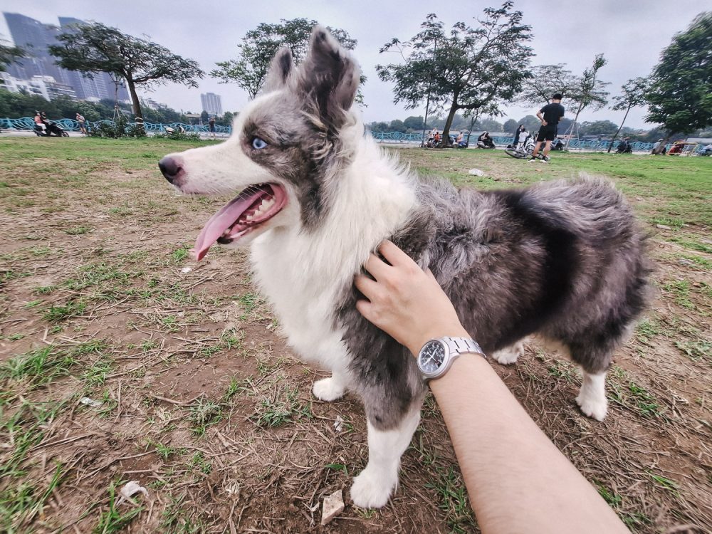 3 điểm đáng chú ý của Galaxy A54 5G bên cạnh thế mạnh gaming anh chup galaxy a54 minh duc 8 16817914972281400506368 1681803328967 16818033291411523207217