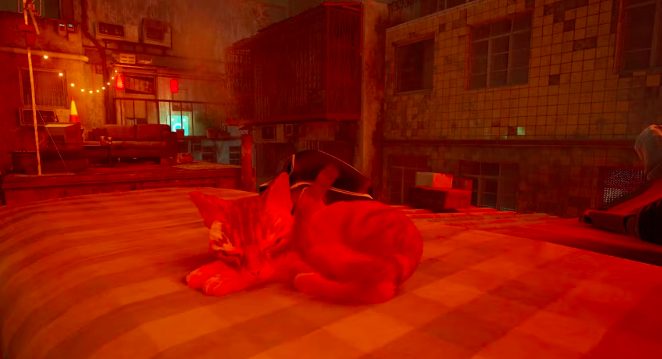 “Cha đẻ” tựa game làm về mèo bất ngờ hé lộ hình ảnh của nhân vật truyền cảm hứng - Ảnh 3.