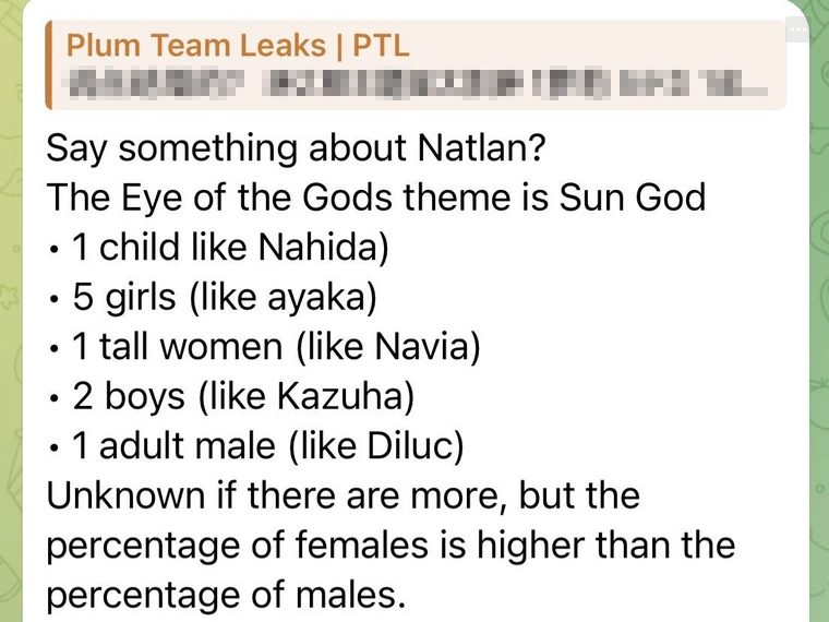 Genshin Impact: Lộ diện thêm thông tin về Natlan, vị thần thứ 6 và loạt vũ khí mới - Ảnh 4.